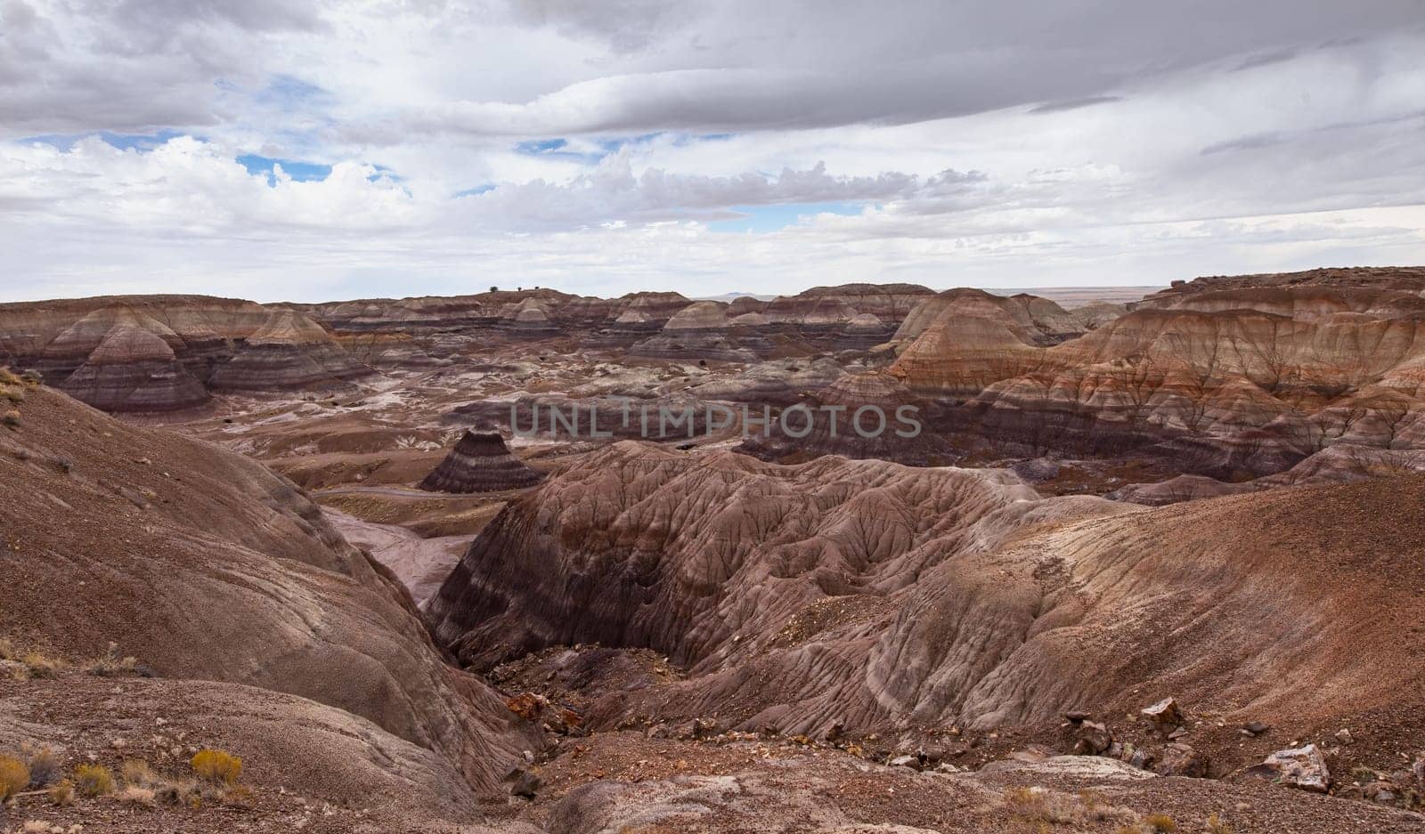 Petrified Forest National Park landscape