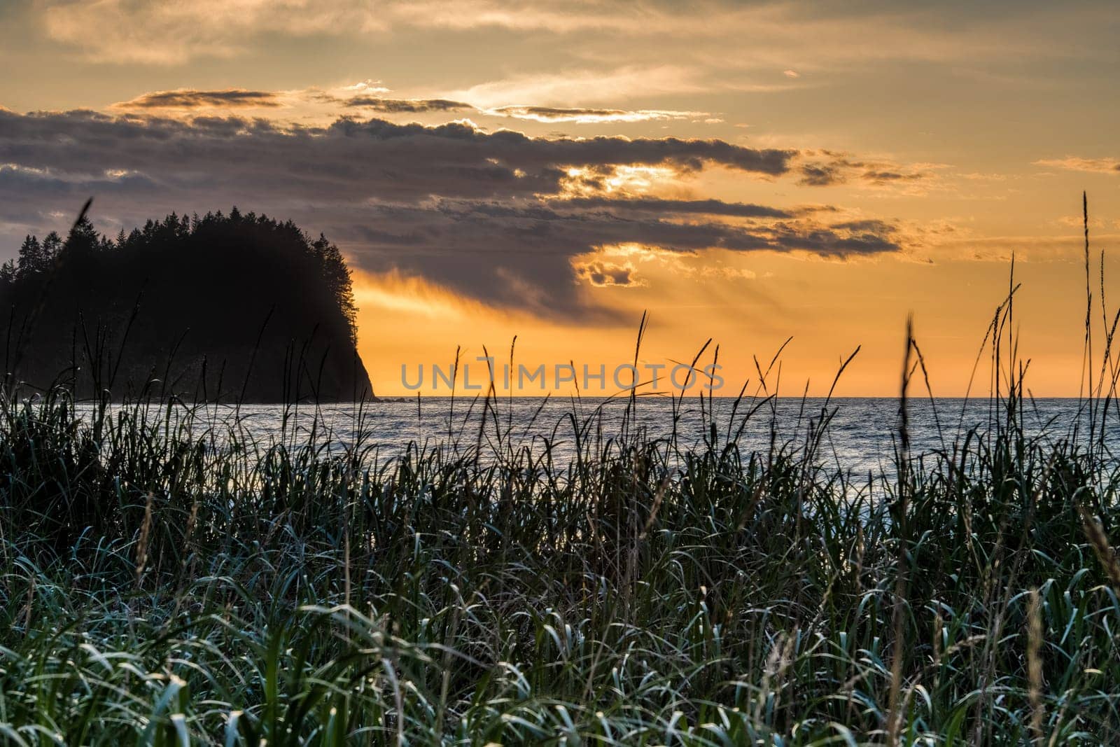Oregon Ocean Sunset over the beach with grass