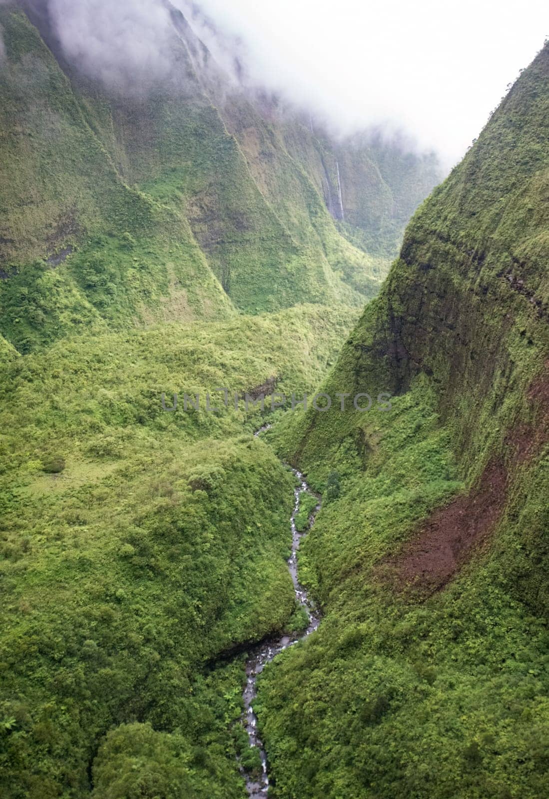 Misty Hawaiian Rainforest waterfall In Kauai