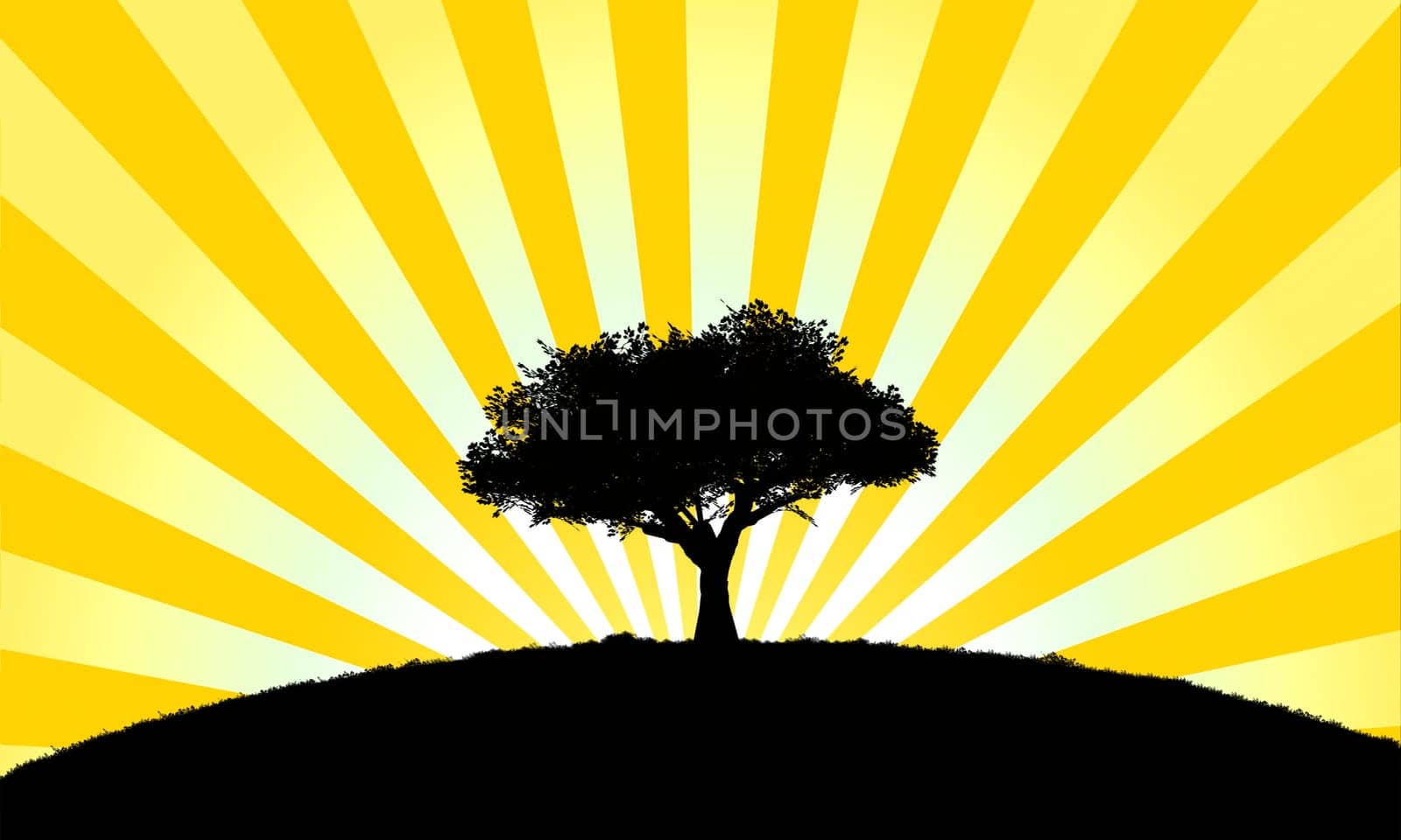 computer generated vector landscape with tree silhouette