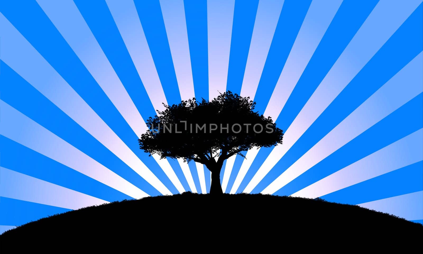 computer generated vector landscape with tree silhouette