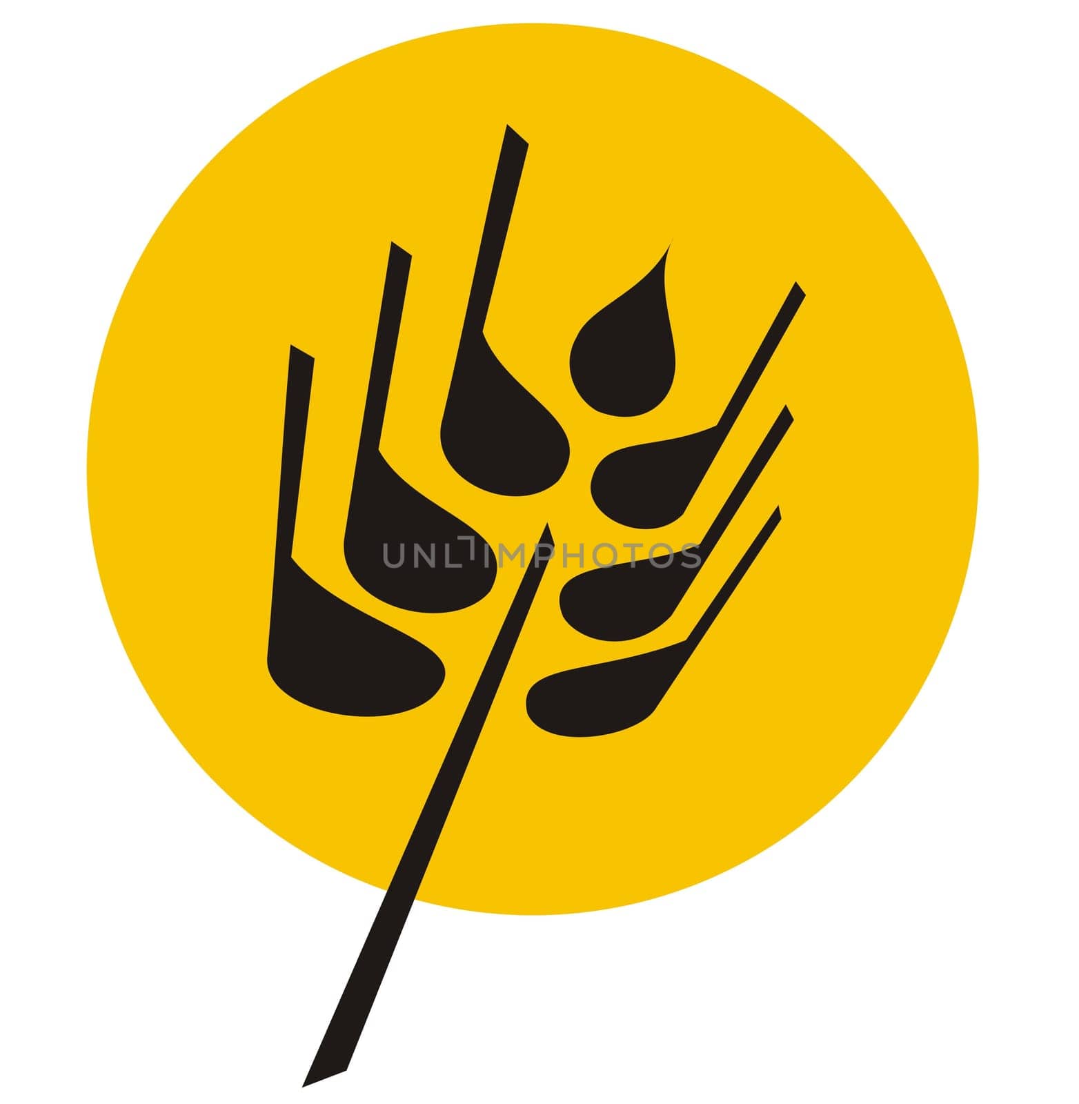Vector illustration of grain wheat