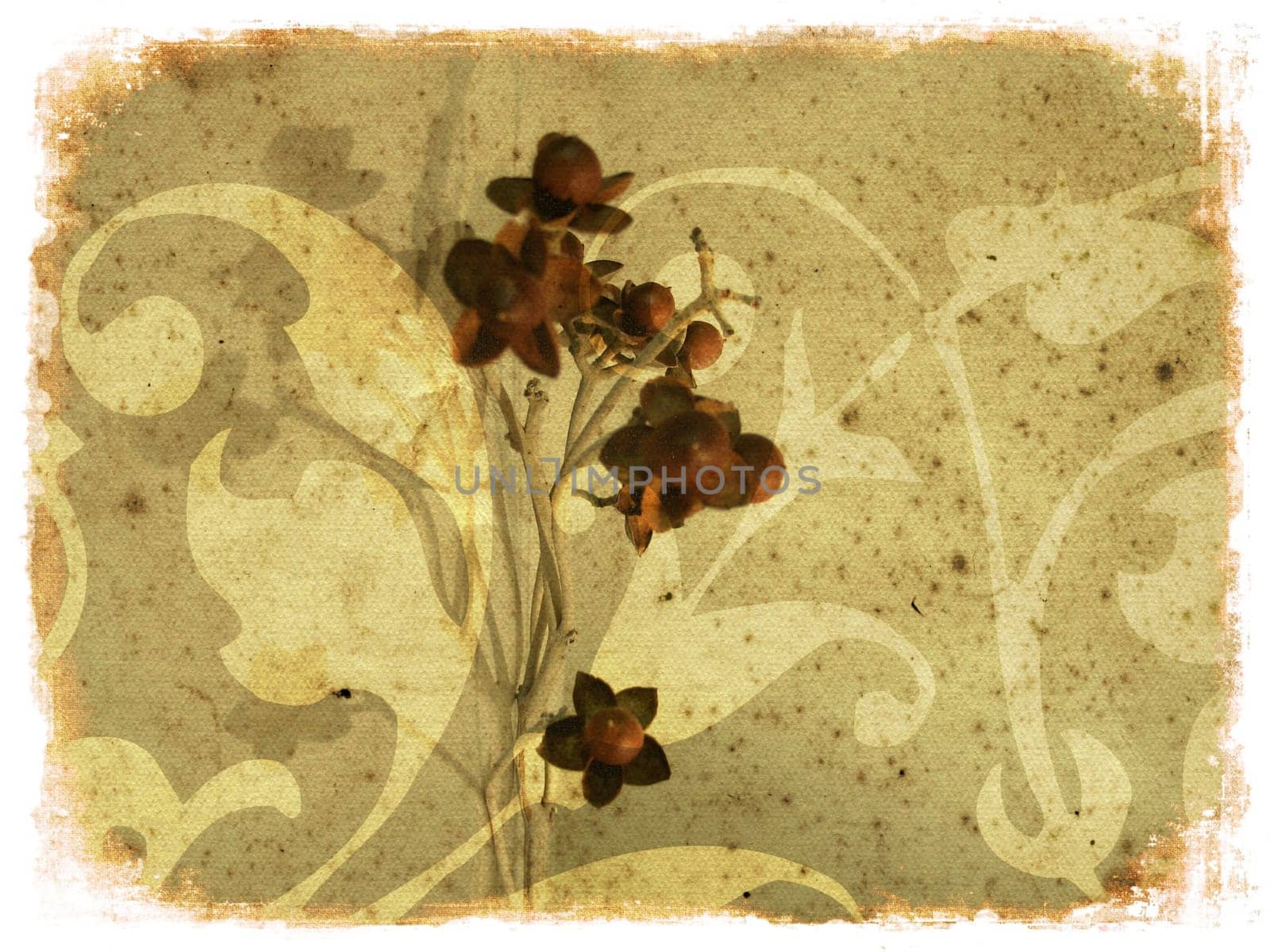 Abstract background with dried flower over grunge texture