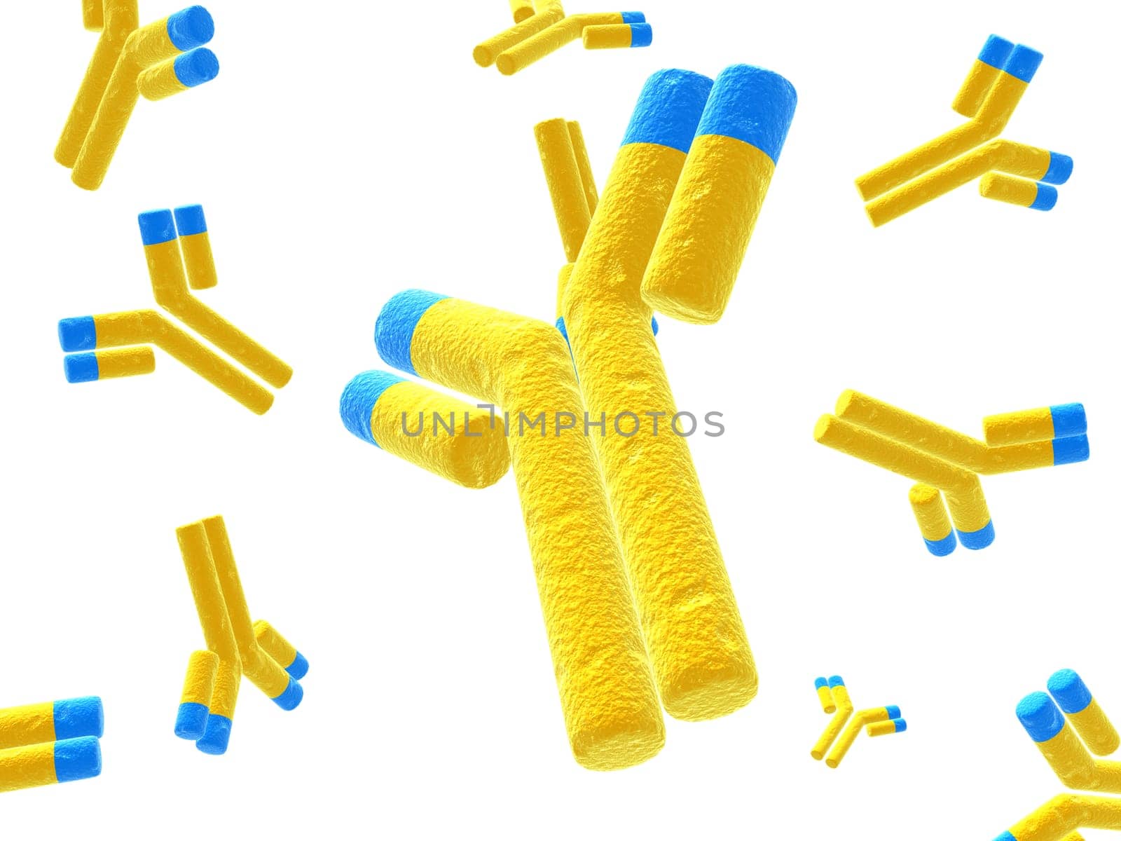 3d rendered close up of isolated antibodies