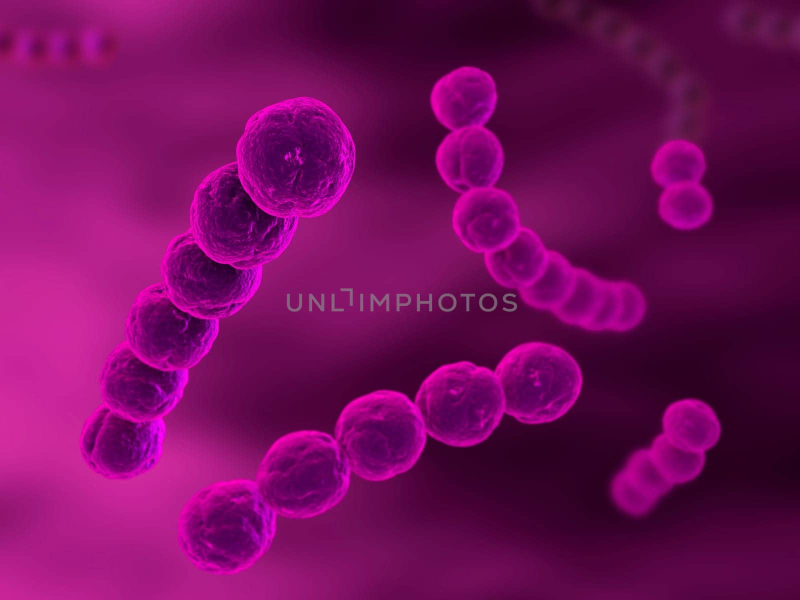 3d rendered close up of streptococcus bacteria