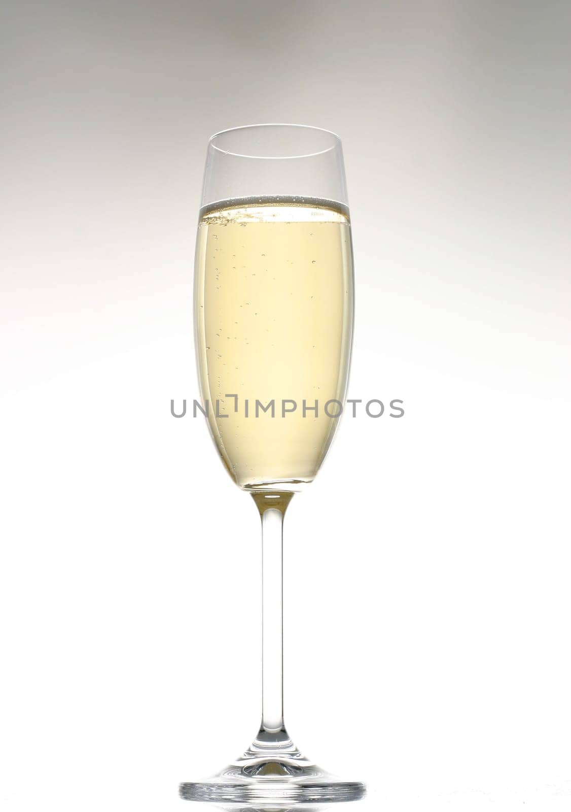 Champagne glass