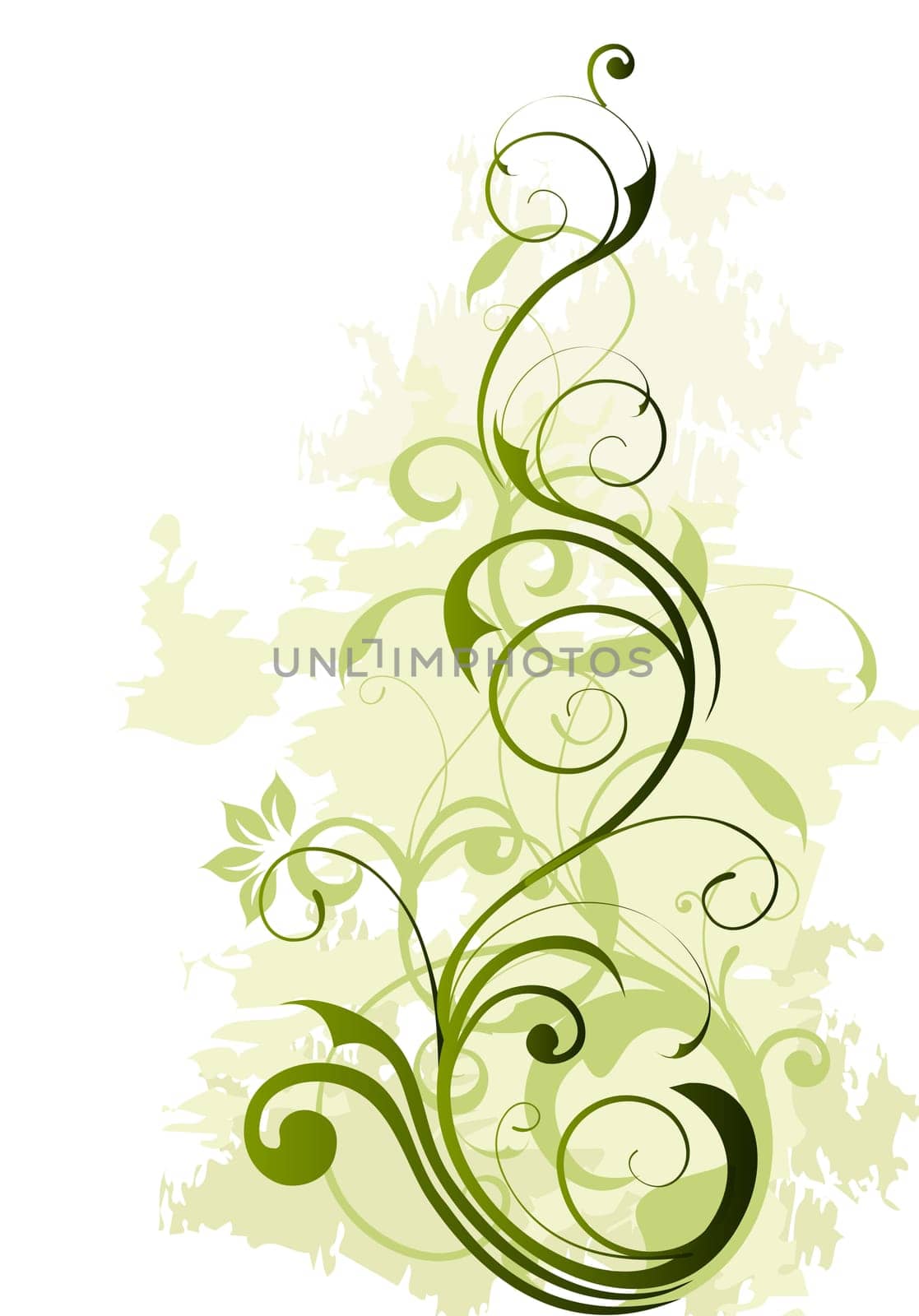 floral background
