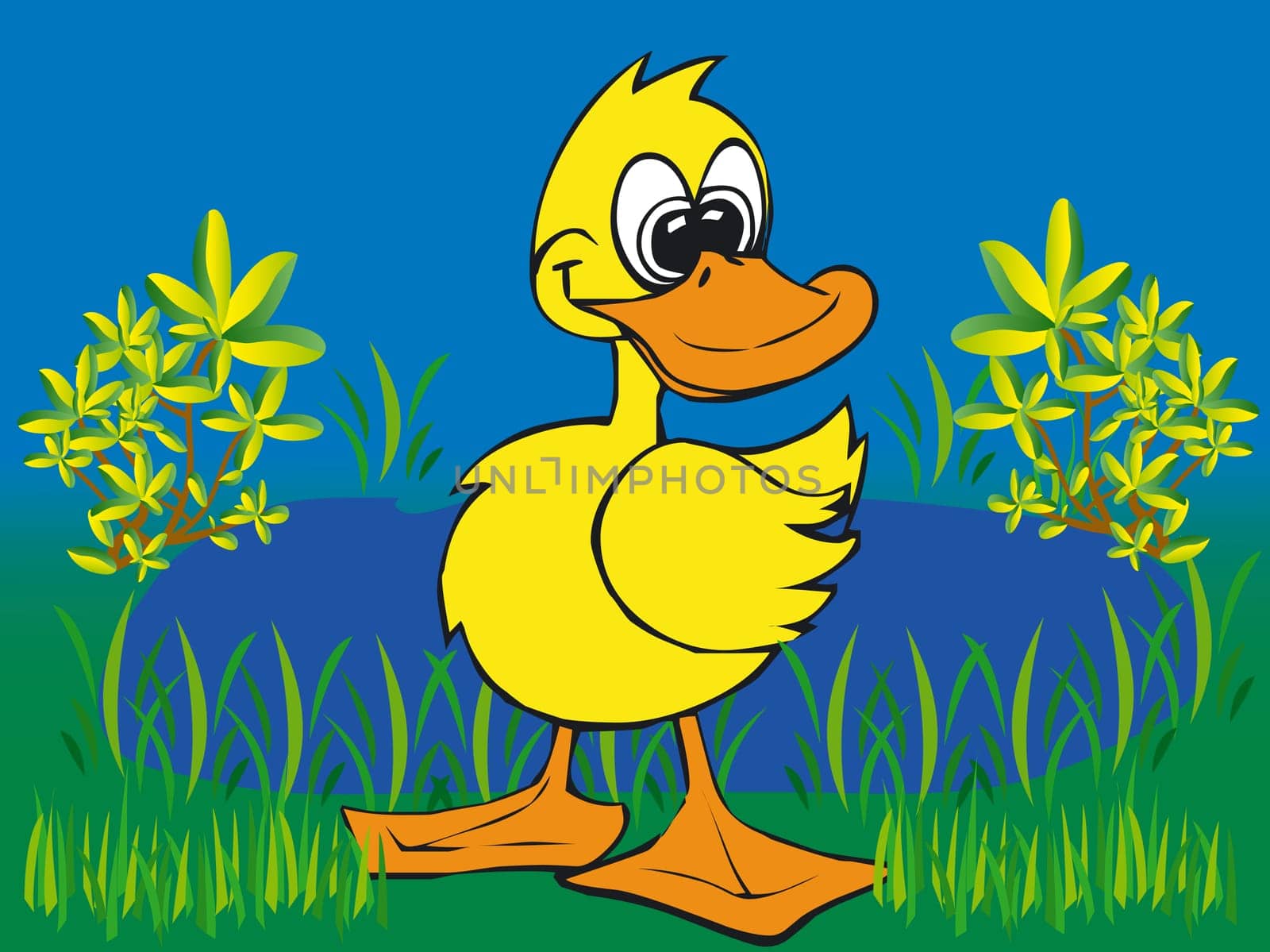 Illustratition of an Toonimal Duck-Vector