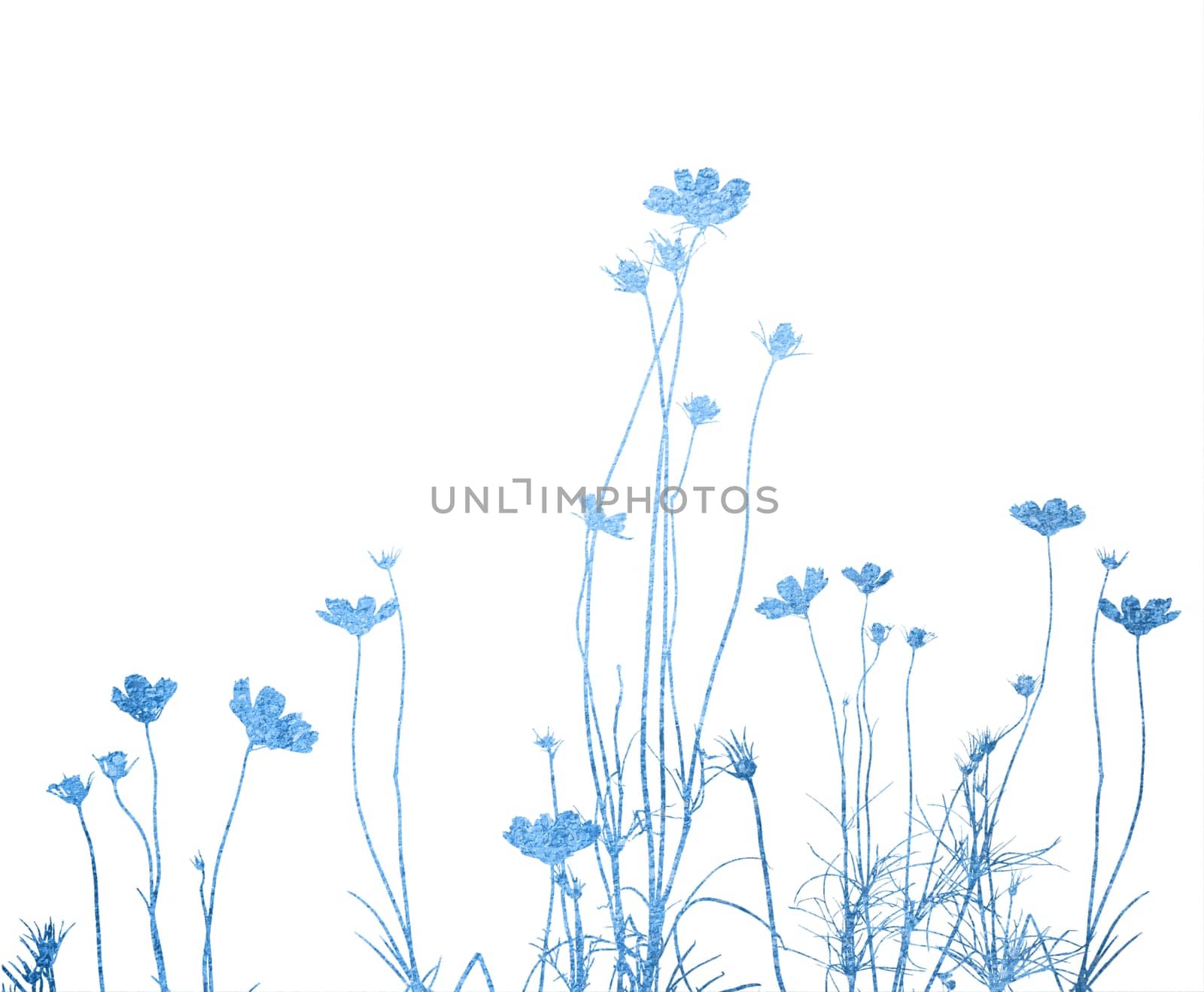 flower abstract textures and backgrounds