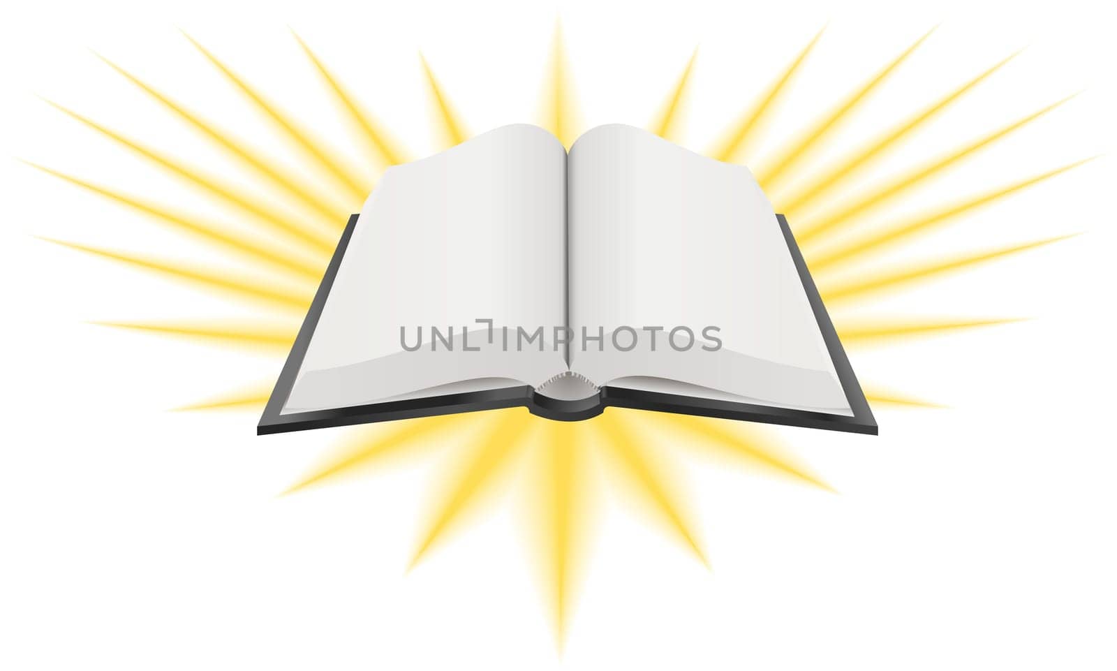 A Vector illustration of an open holy book such as the Bible, Torah or Koran