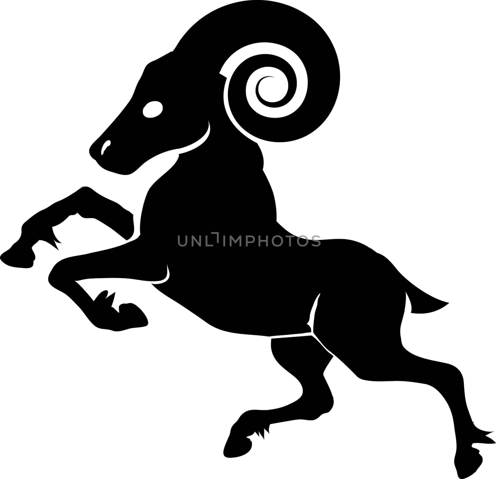 Monochrome vector illustration of a stylised ram
