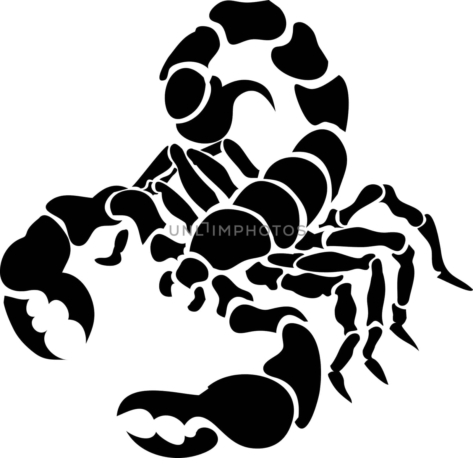 Monochrome vector illustration of a stylised scorpion