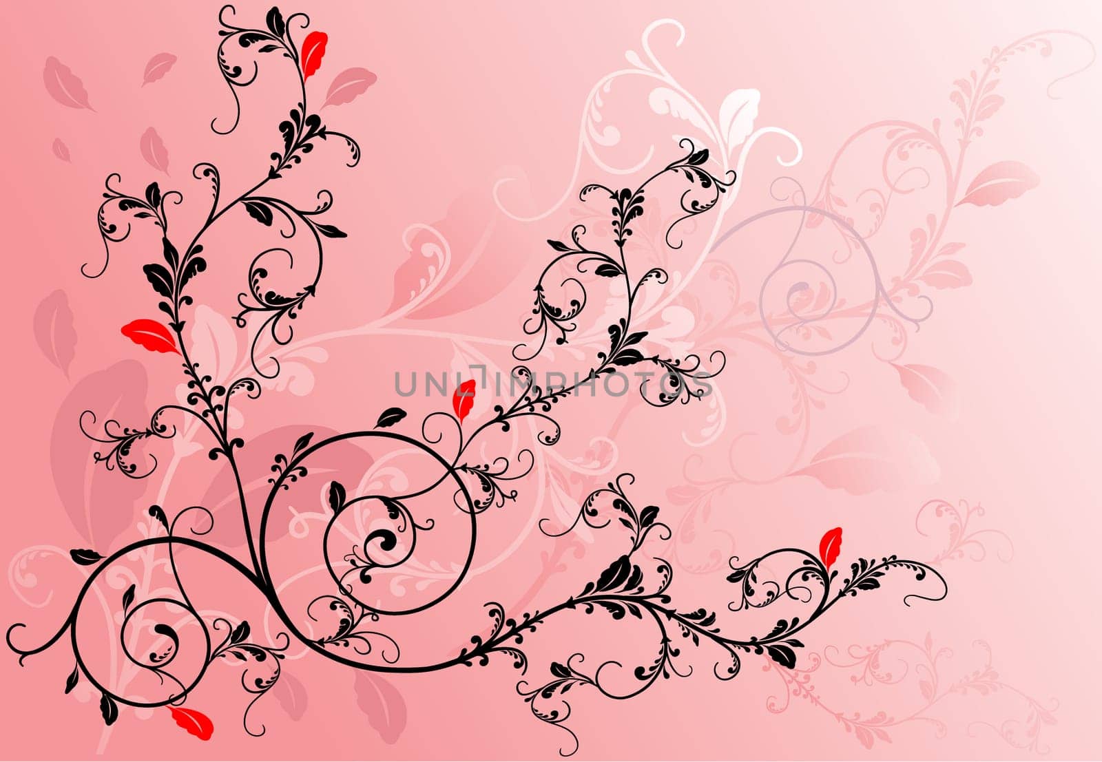 Illustration of floral design