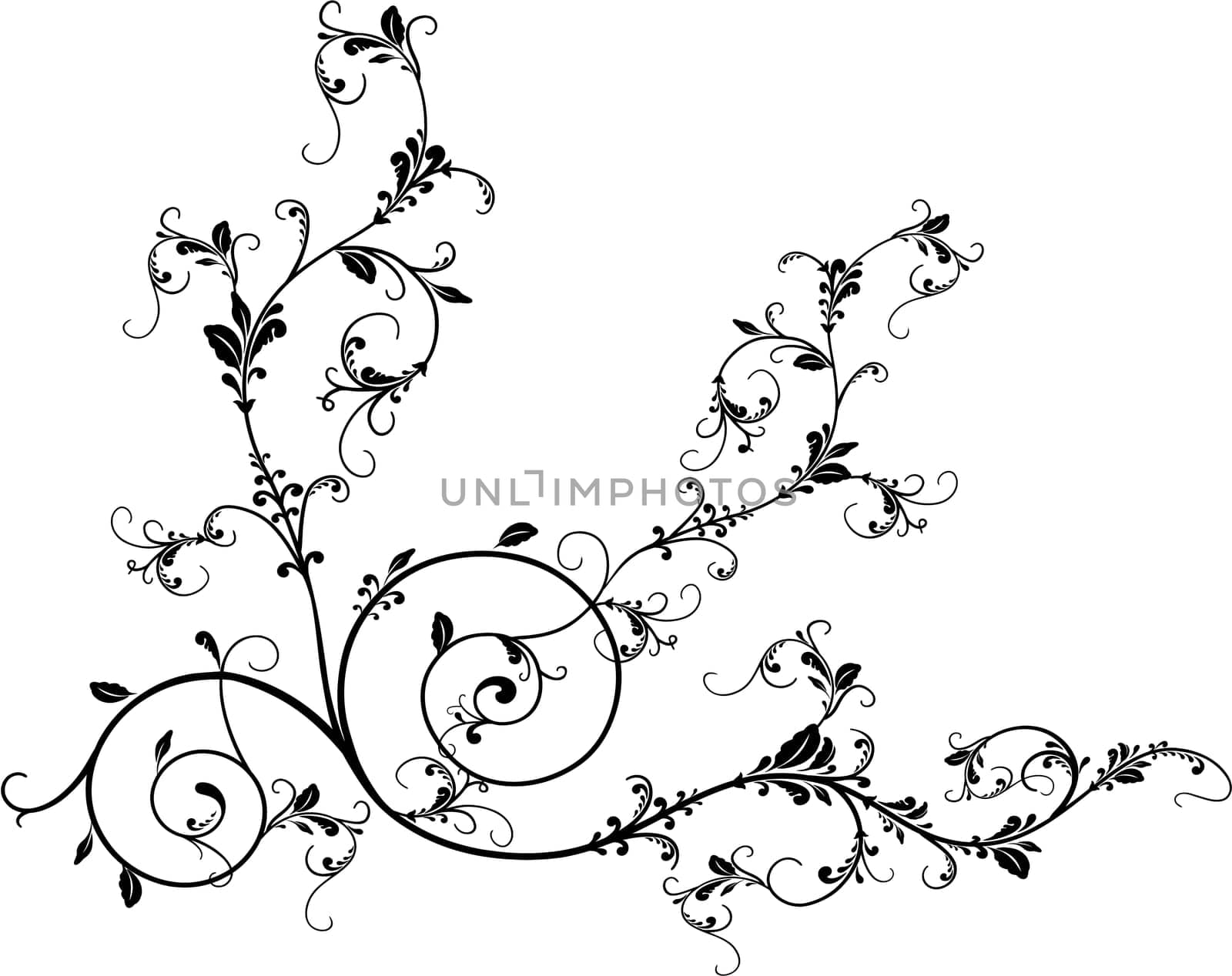 Illustration of floral design