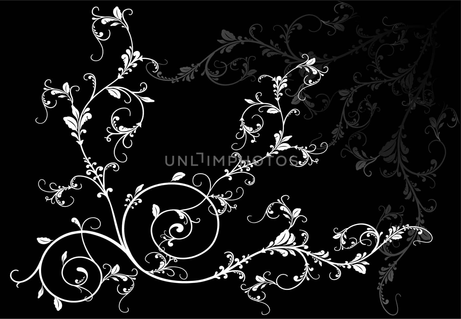 Illustration of floral design