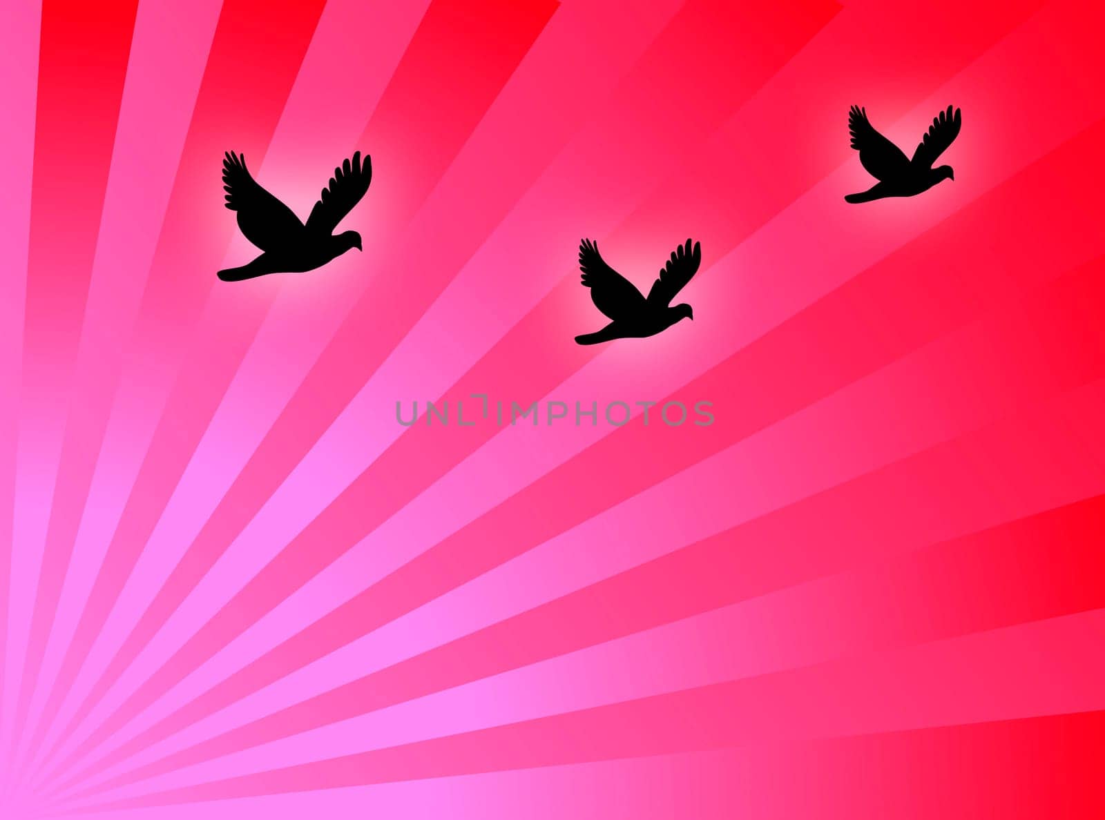 Birds silhouette flying in a colorful background