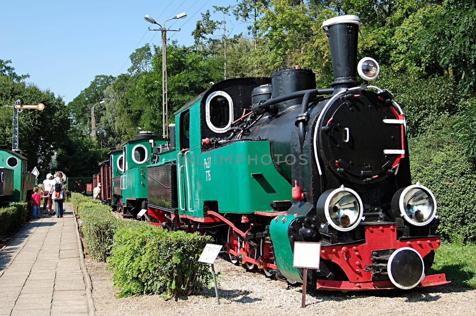 Old locomotive in museum of narrow-gauge railway, Wenecja, Poland