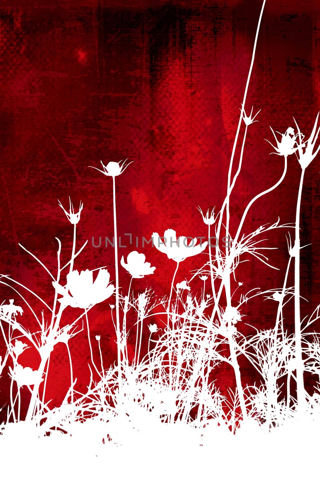 flower abstract textures and backgrounds