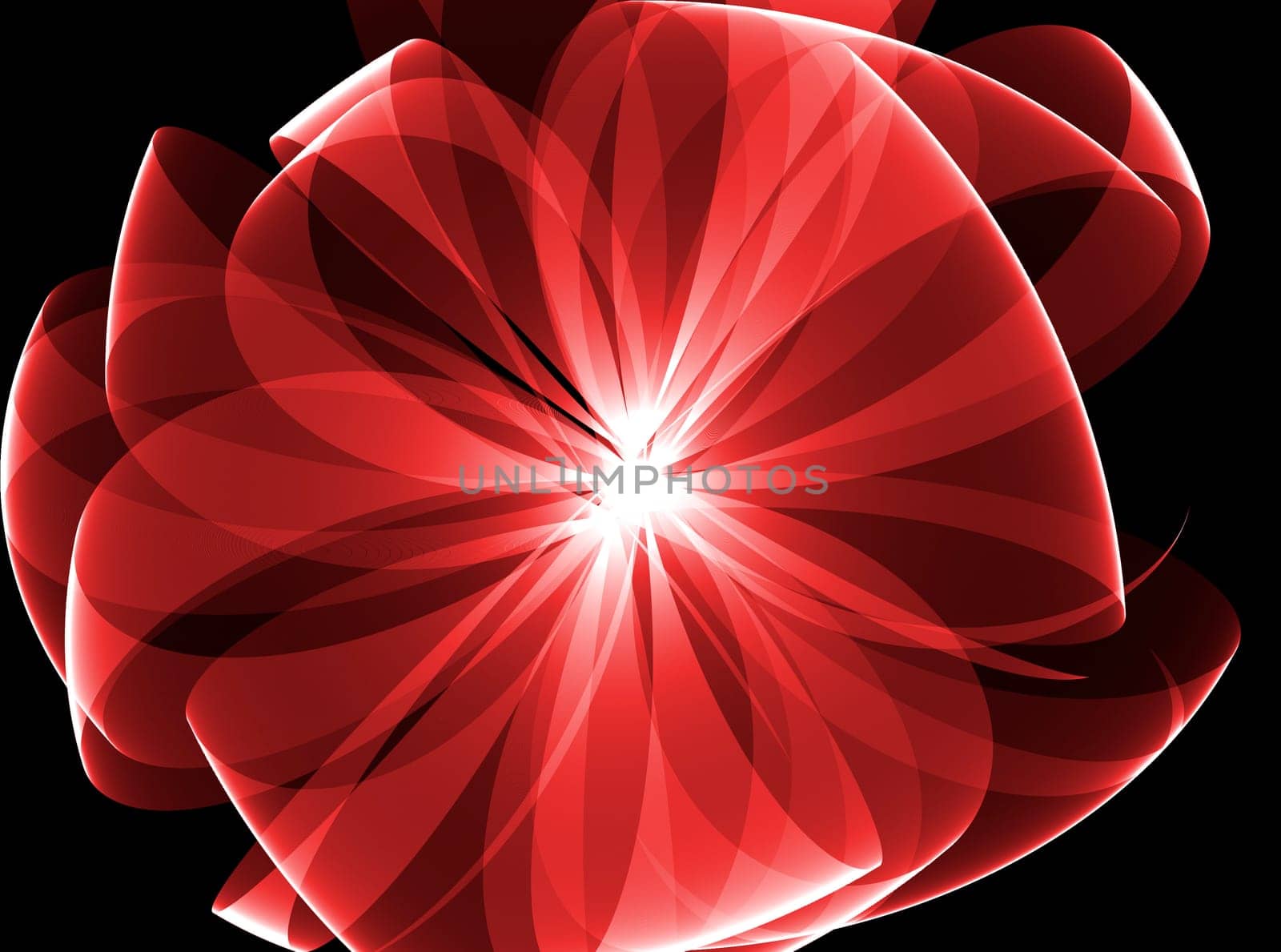 Red bow on a black background as decoration