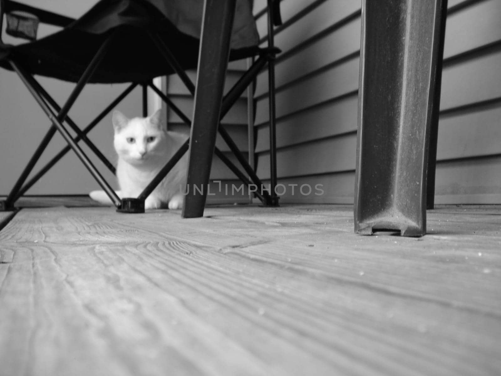 Taken through an alternate perspective