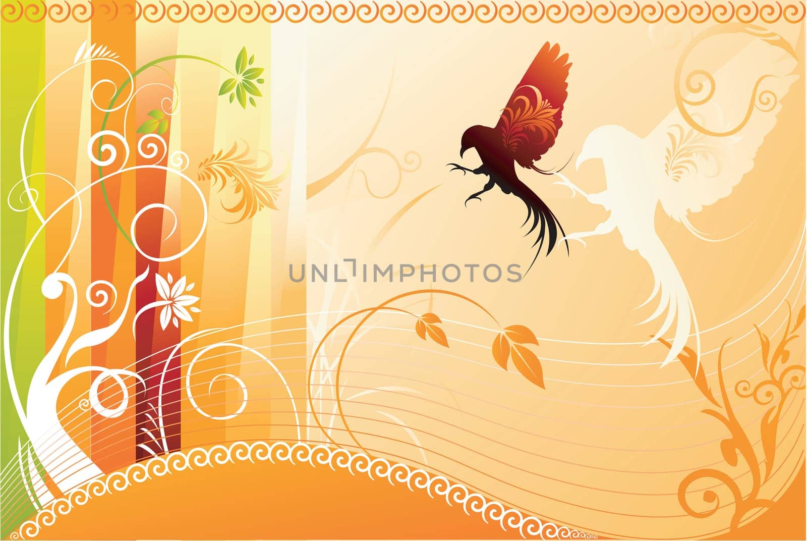 Floral design vectors