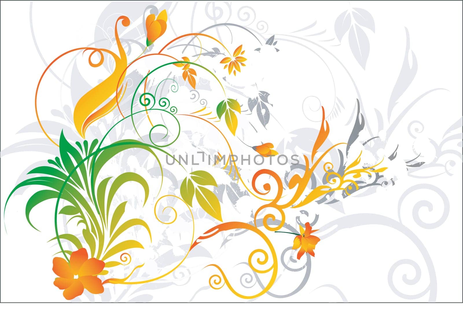 Floral design vectors