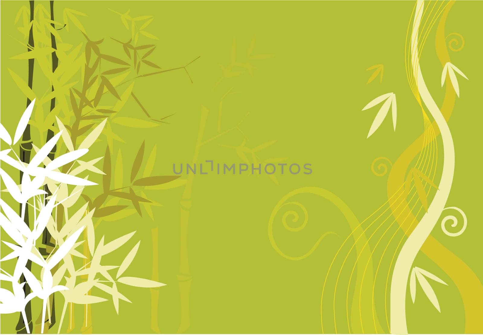 Floral design vectors