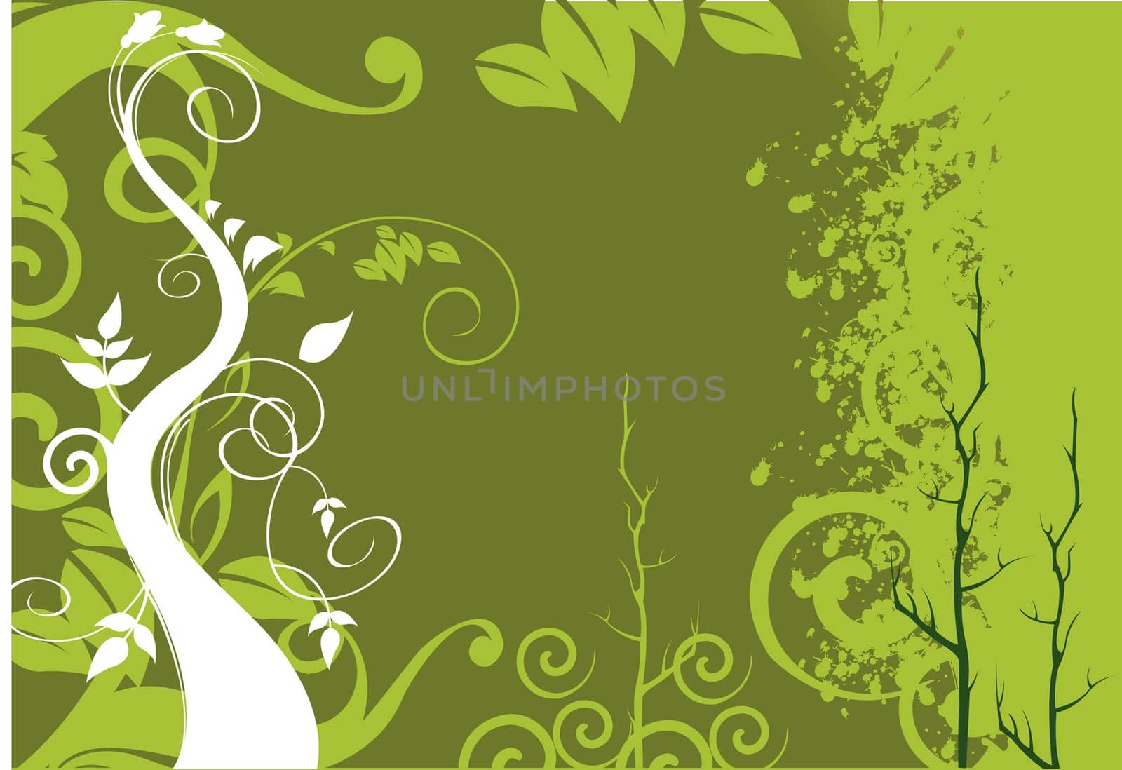 Floral design vectors