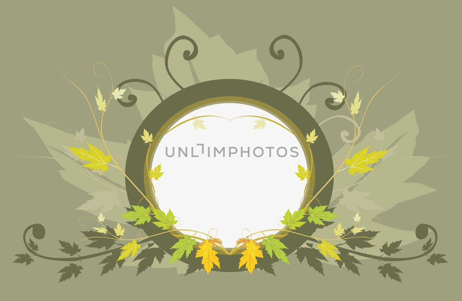 Floral design vectors