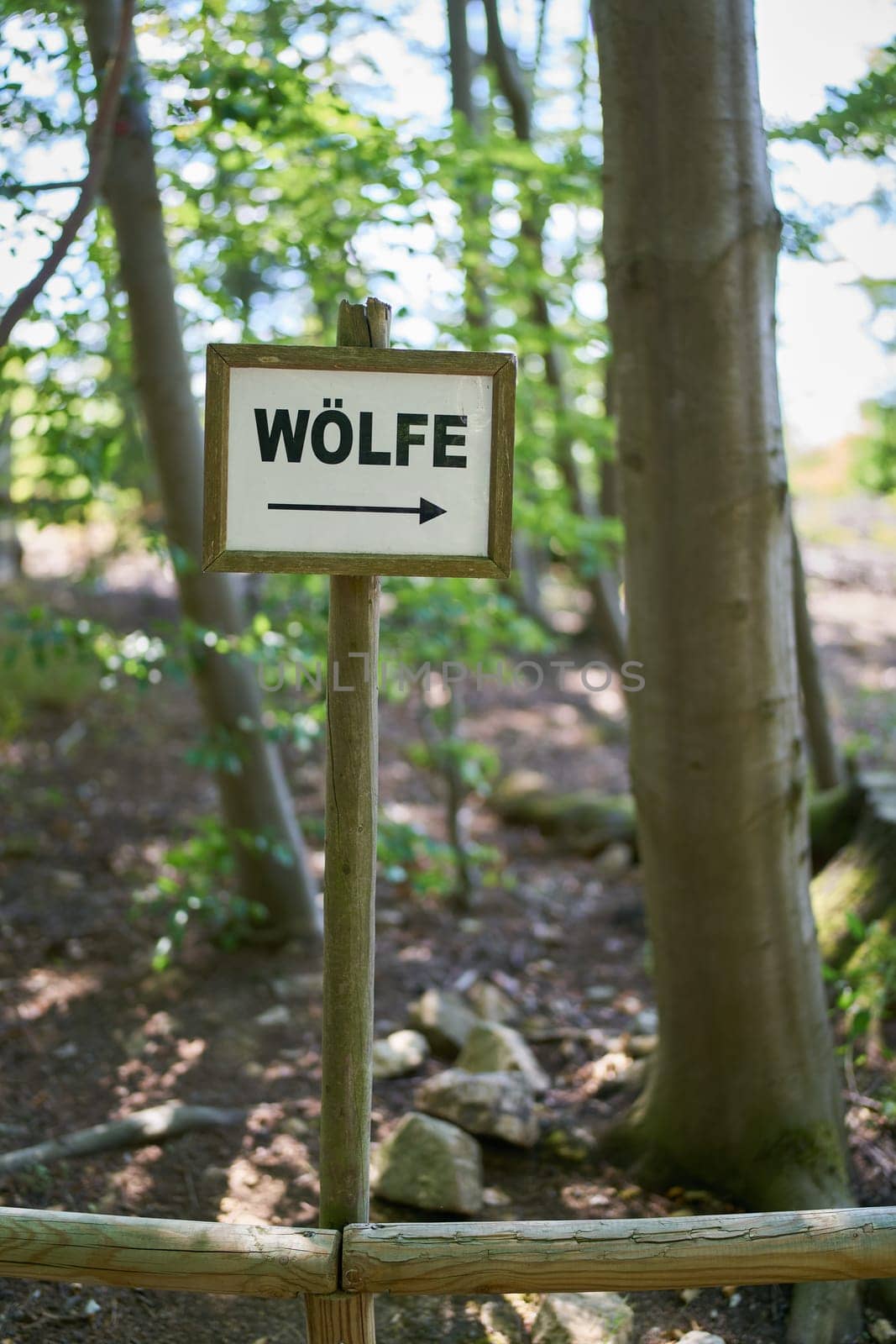 Sign with direction arrow to enclosure with wolves in a Forest in Germany. Translation of the Scripture: Wolves