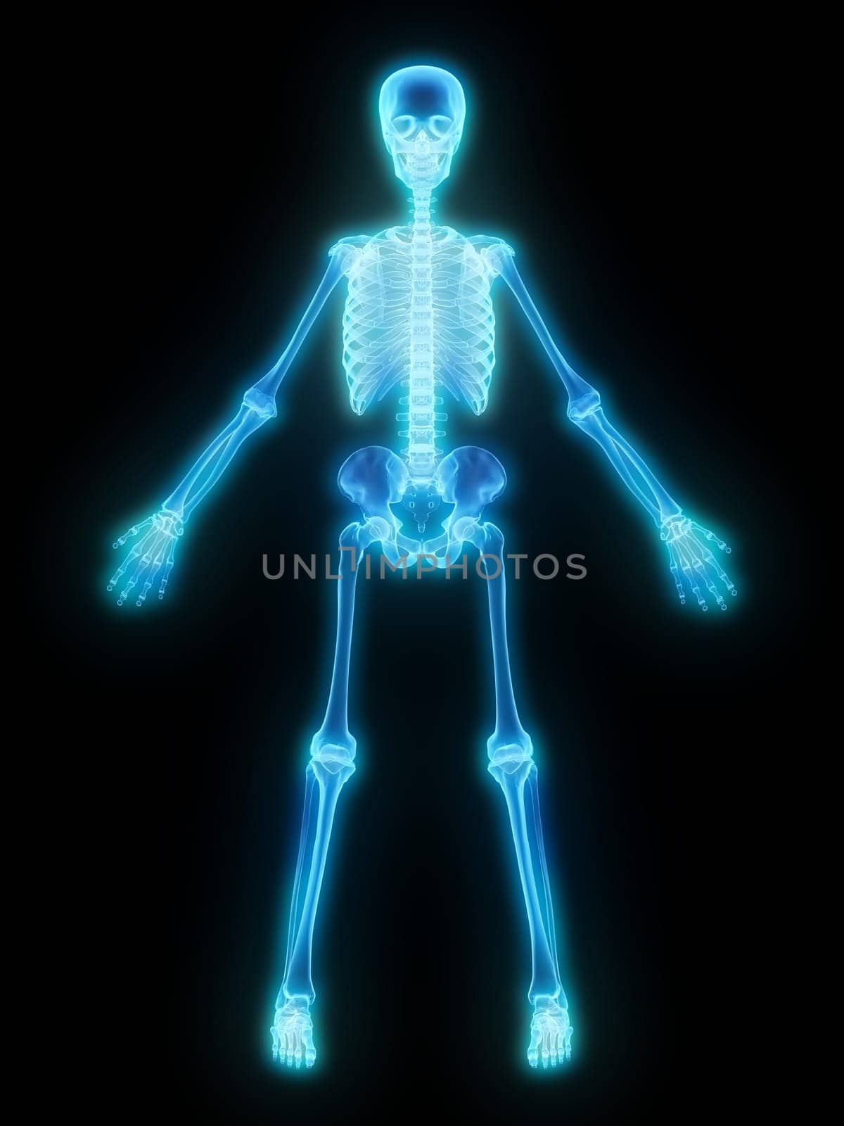3d rendered anatomy illustration of a glowing human skeleton