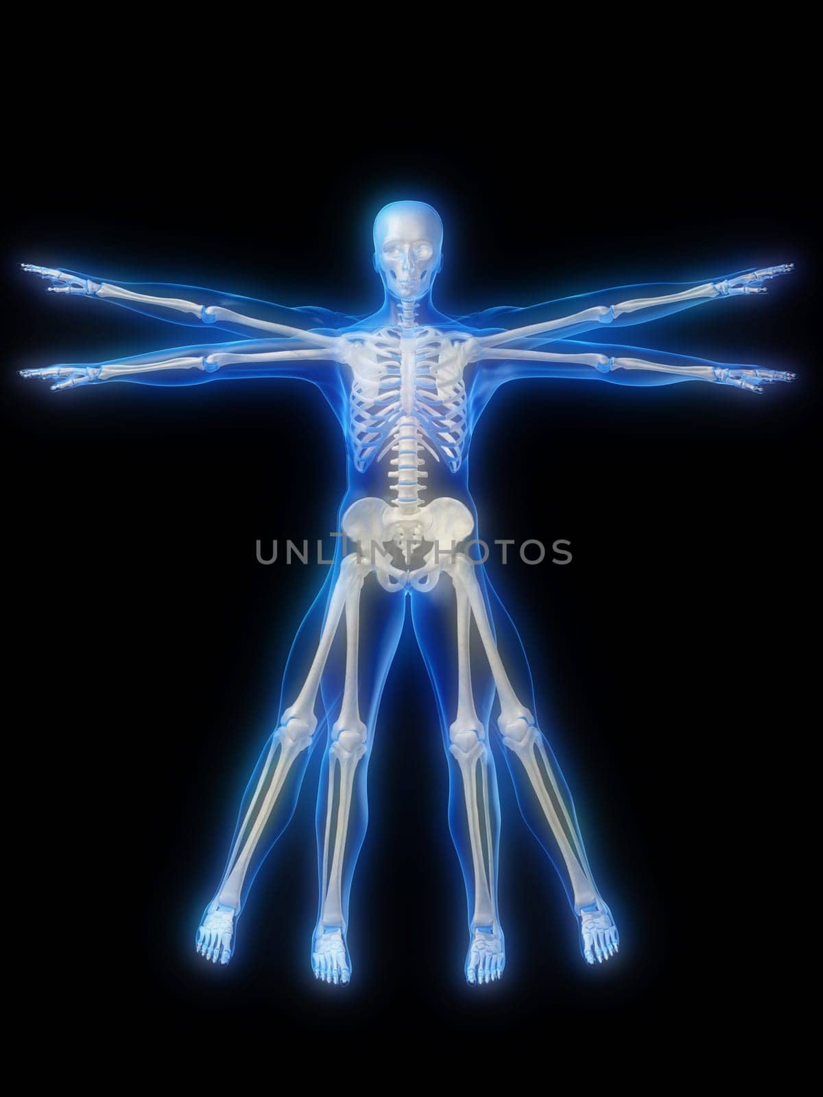 3d rendered anatomy illustration of a human glowing skeleton