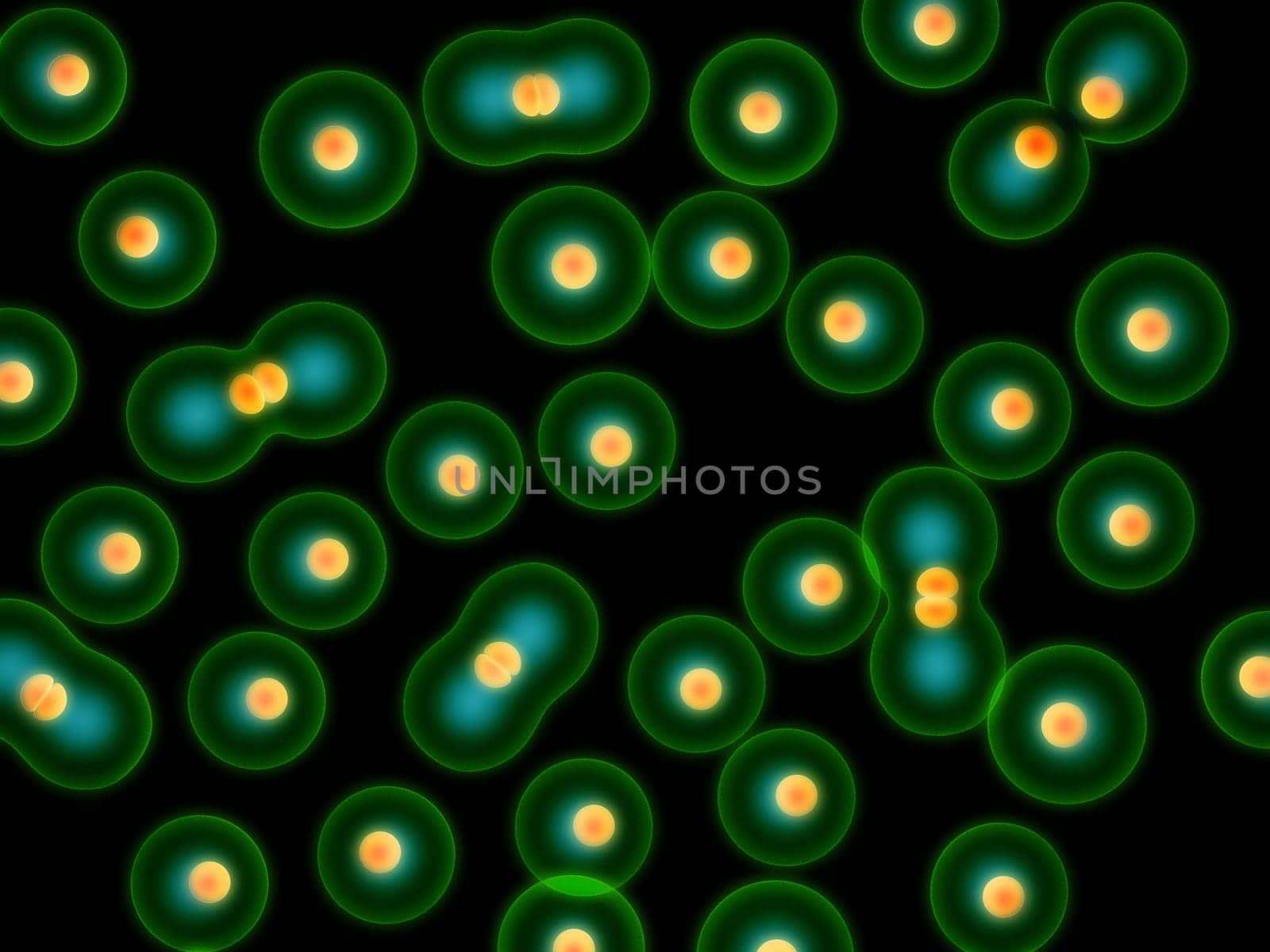 3d rendered close up of dividing cells