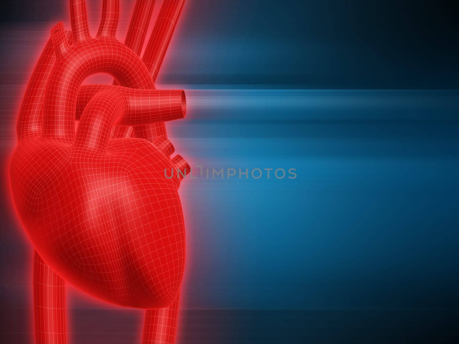 3d rendered anatomy illustration of a red human heart