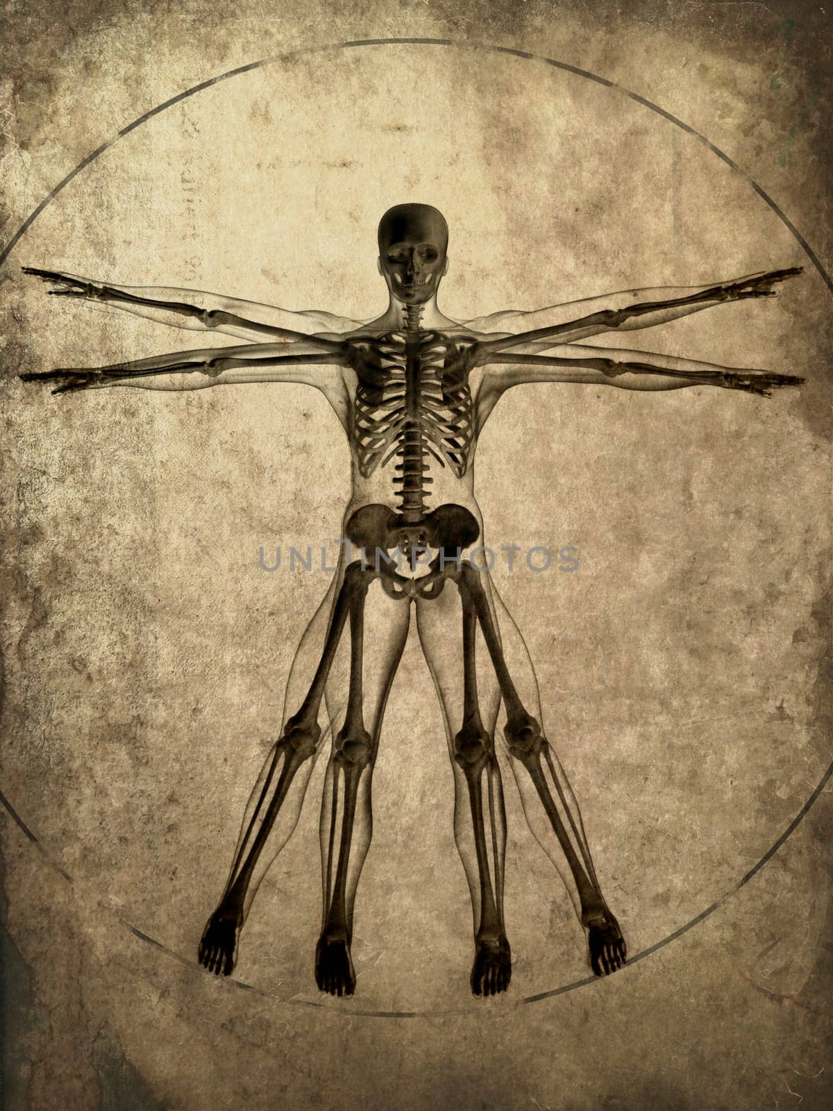 3d rendered illustration of an old paper with a human skeleton