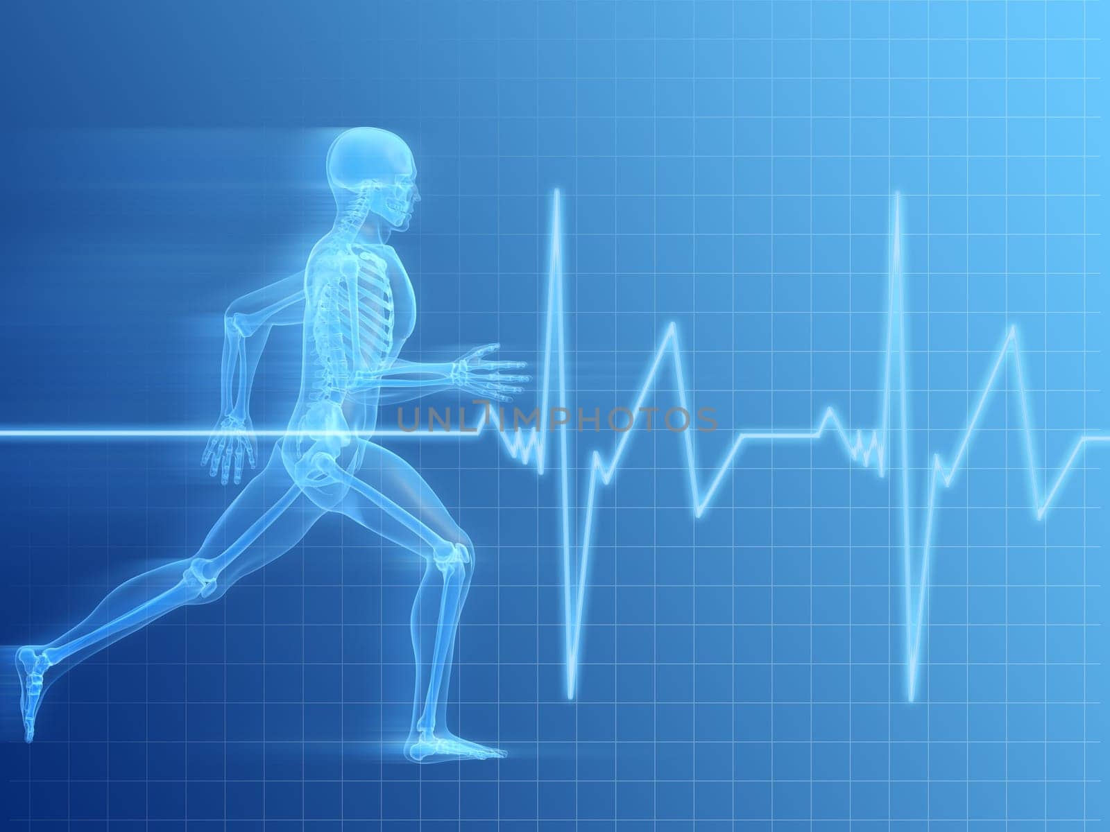 3d rendered anatomy illustration of a running skeleton with a heartbeat