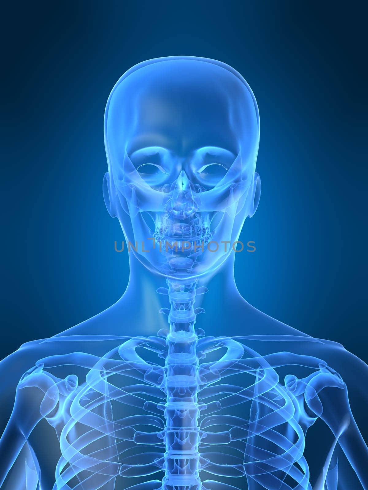 3d rendered x-ray illustration of a human head