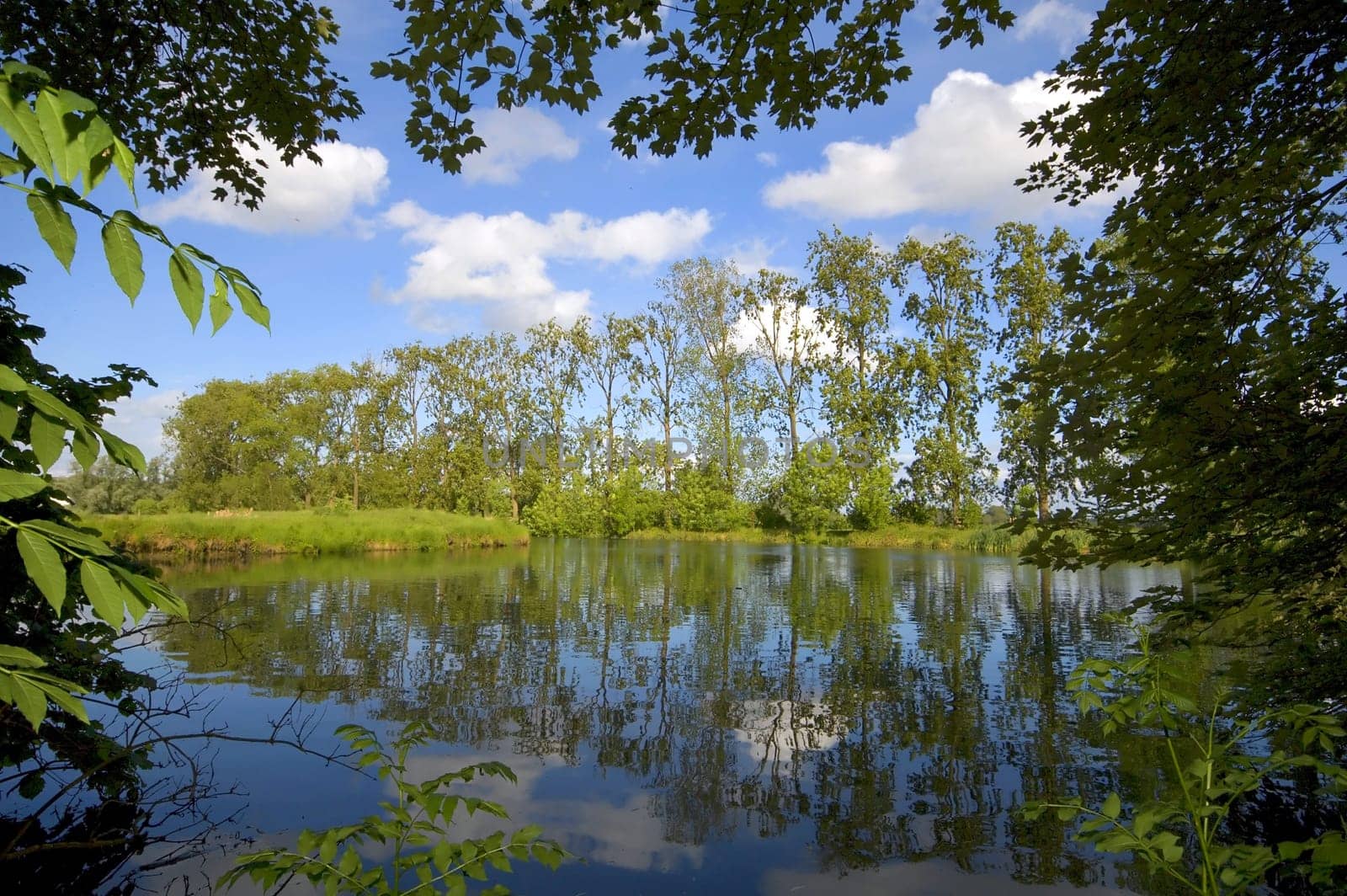 Green nature scenery with trees, a lake and cloudy blue sky. Natural frame