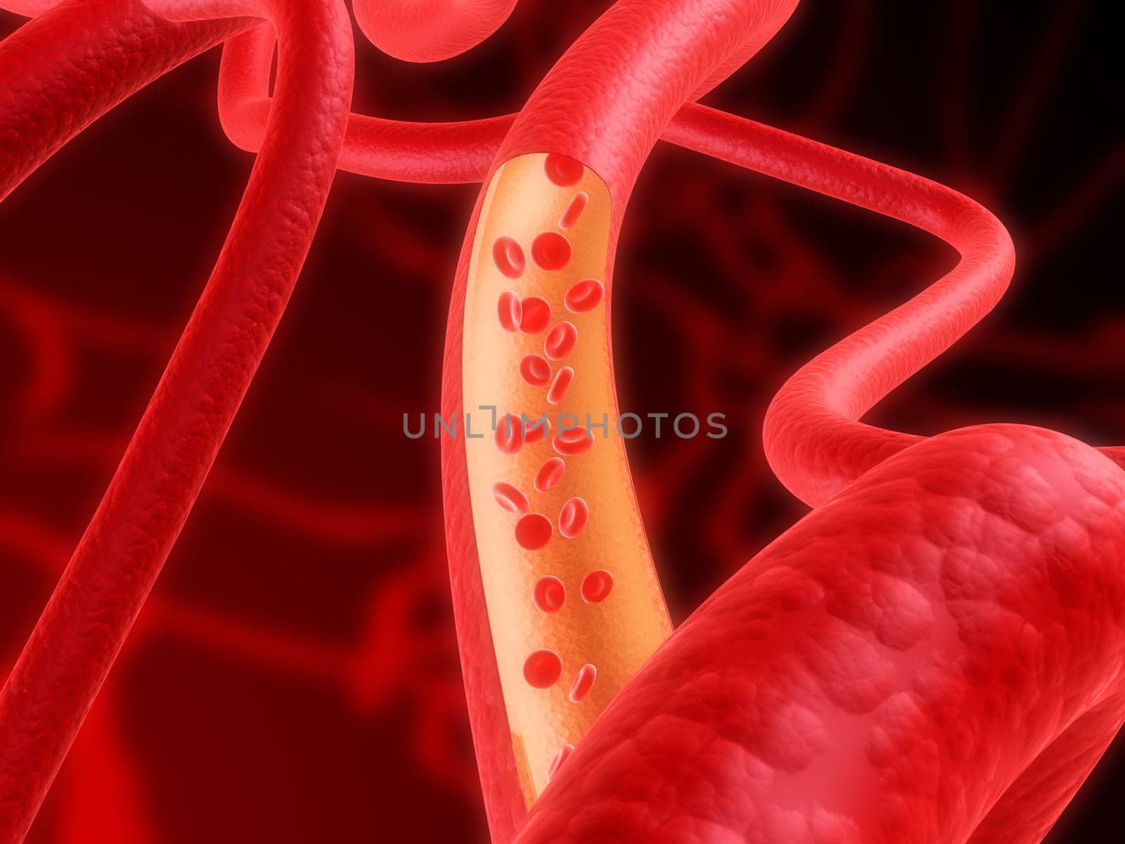 3d rendered illustration of arteries with streaming blood