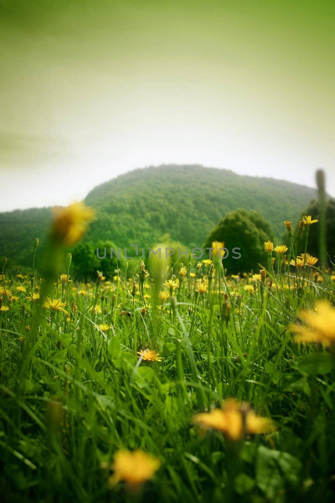 landscape view. Great shoot. Great image