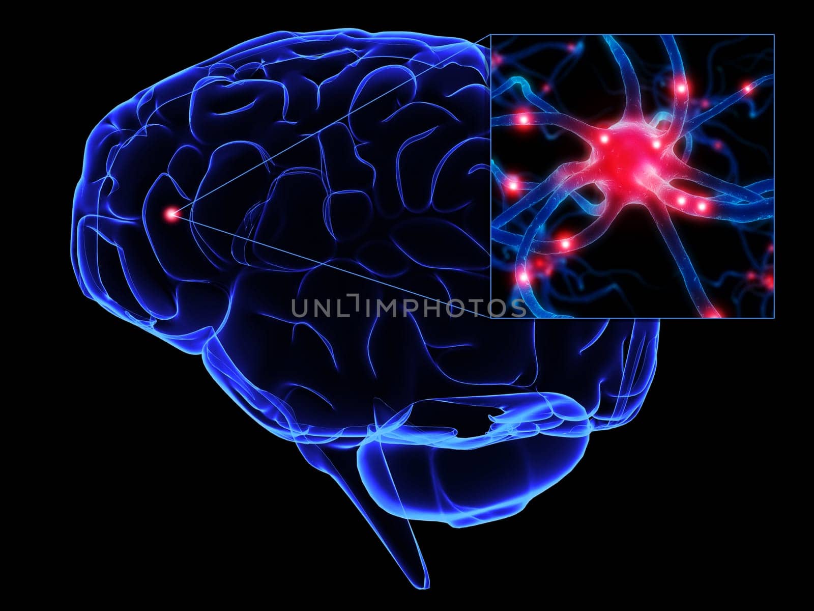 3d rendered anatomy illustration of a human brain with a neuron cell