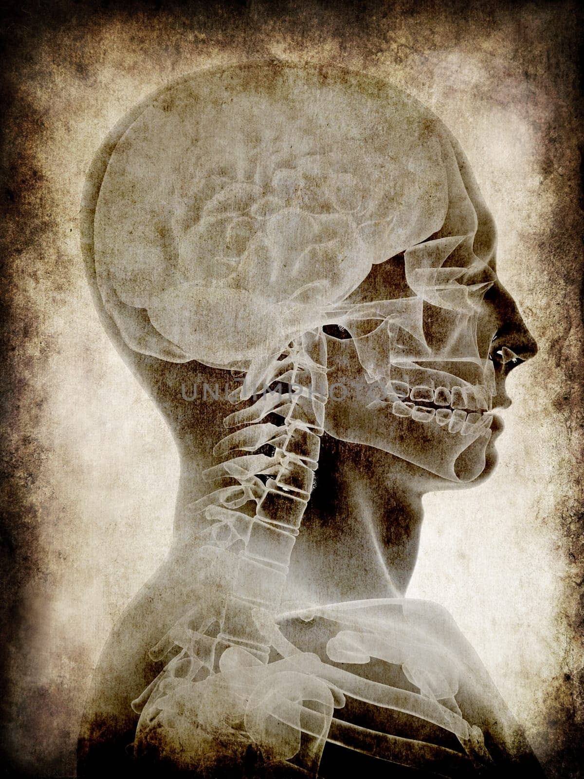 3d rendered illustration of an old paper with a human head