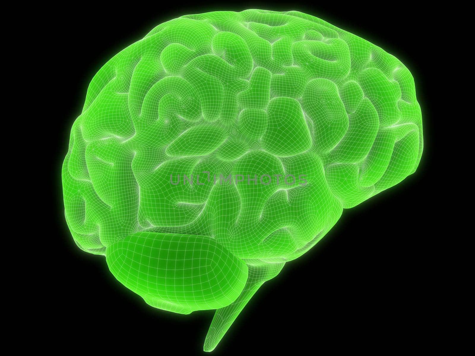 3d rendered anatomy illustration of a human green brain
