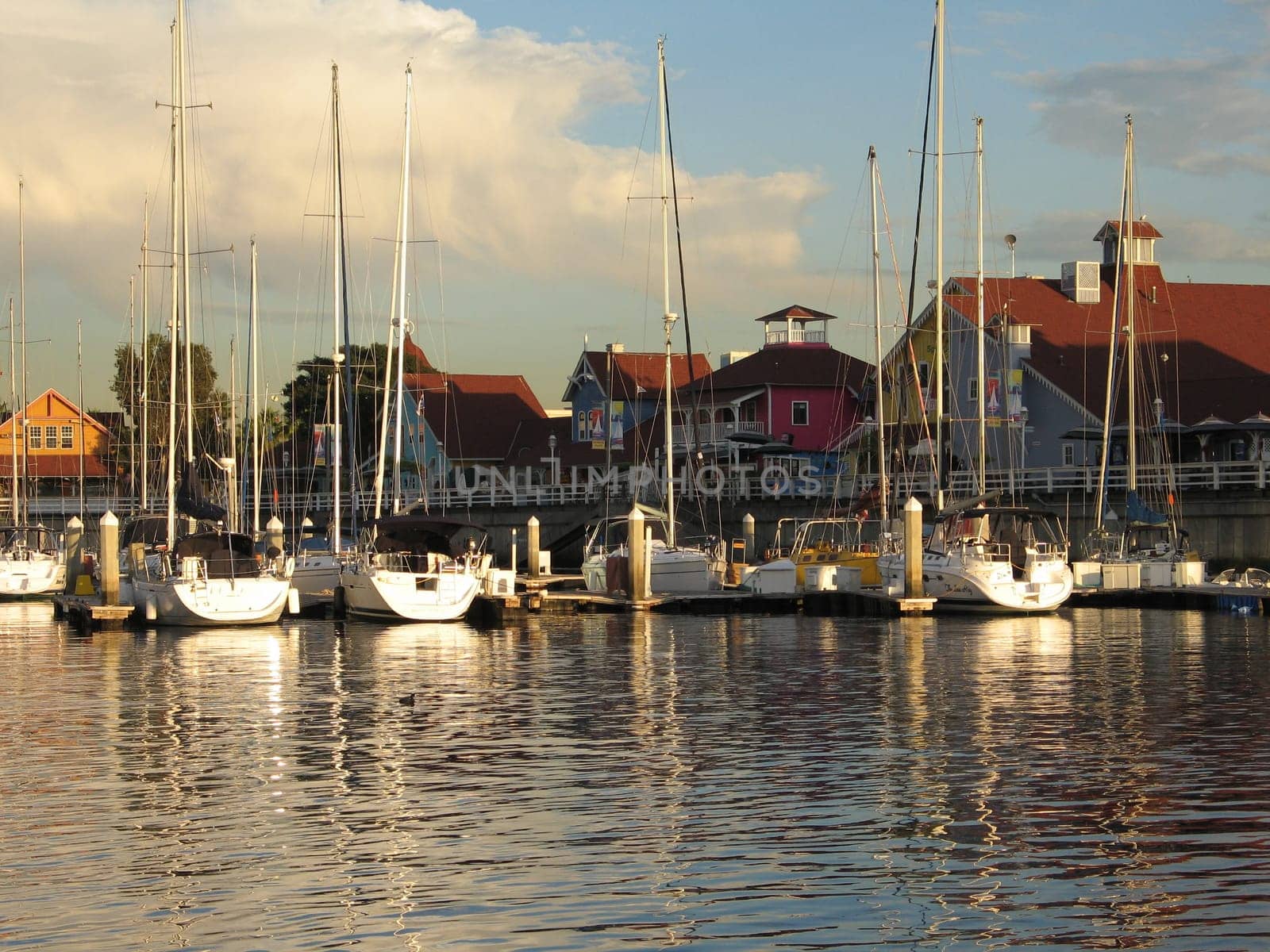 marina in Long Beach, CA after rain and around dusk