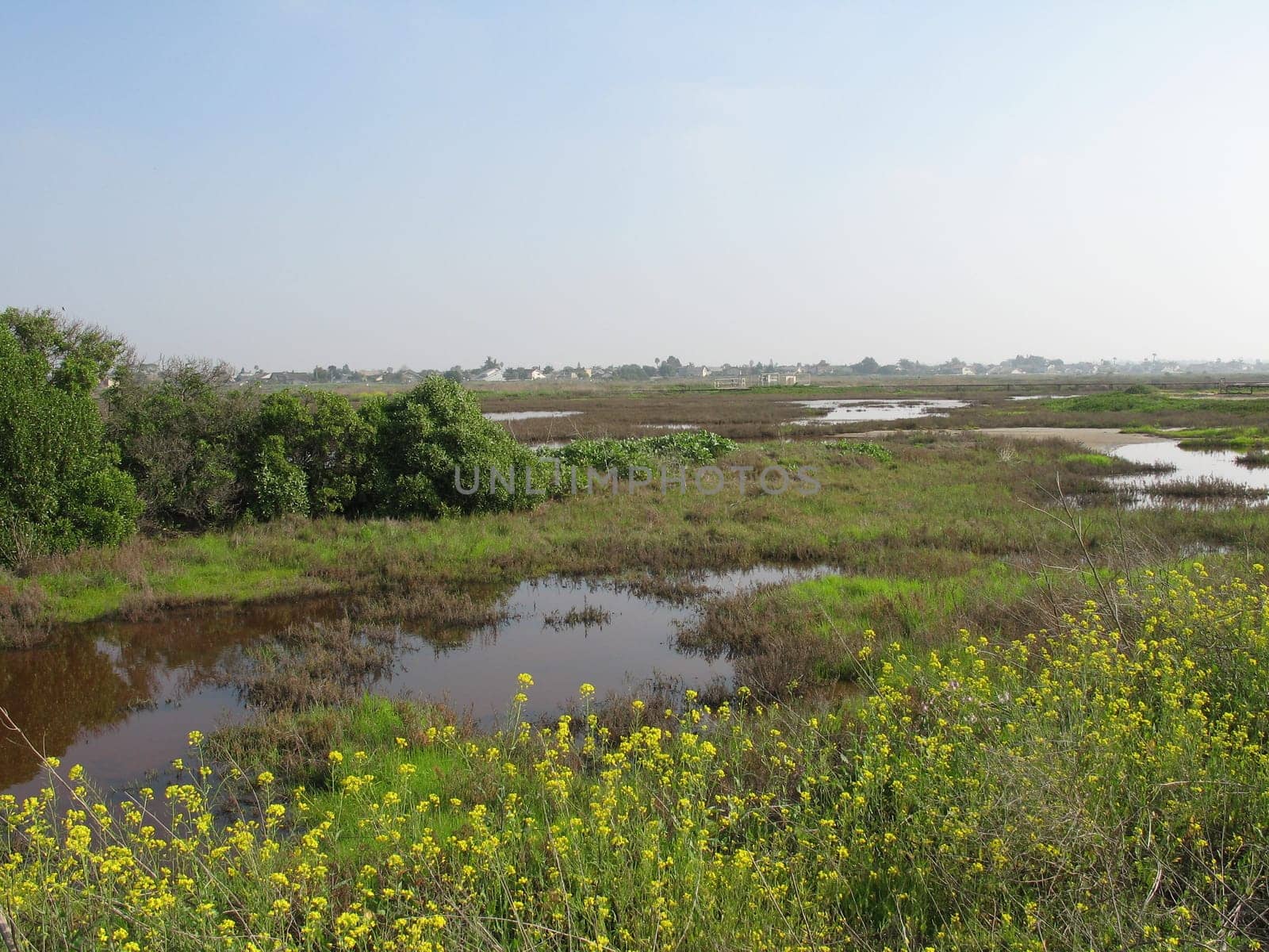 wetlands in southern california