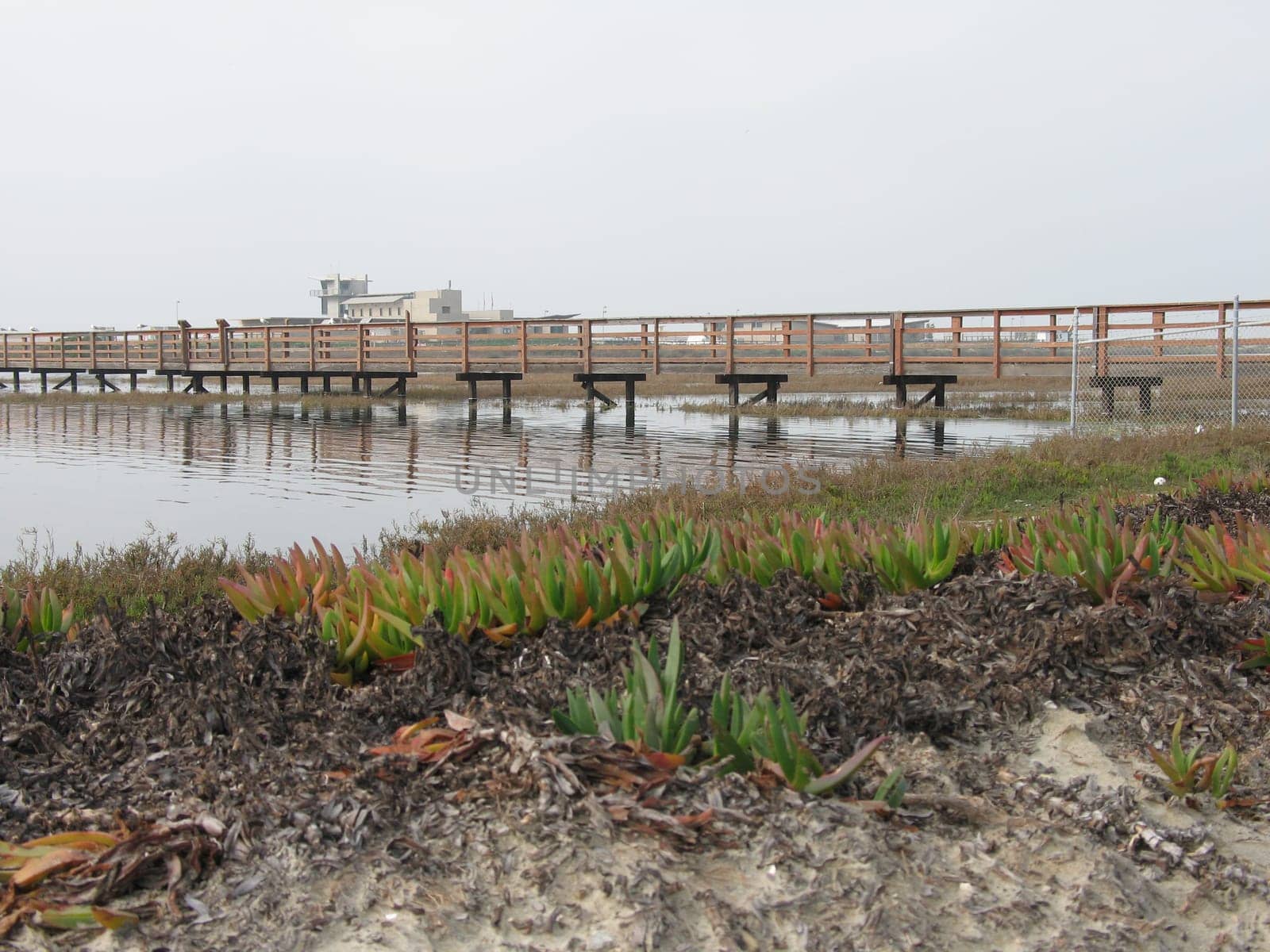 bridge across wetlands