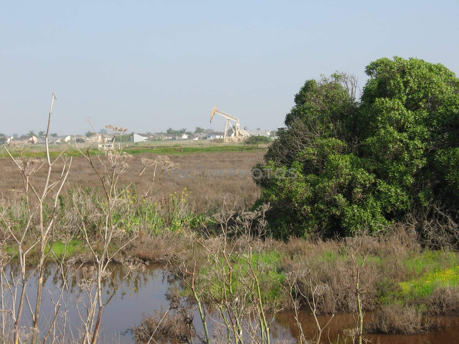 wetlands in southern california
