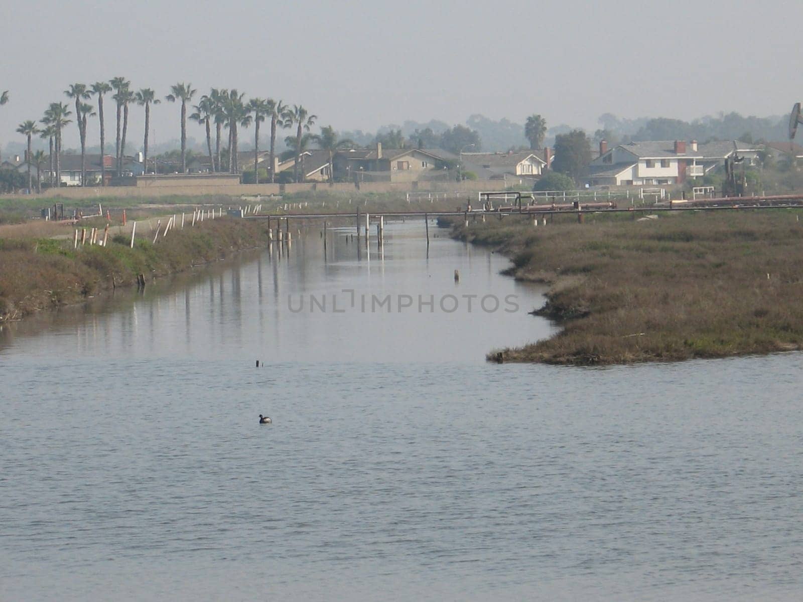 wetlands in southern california