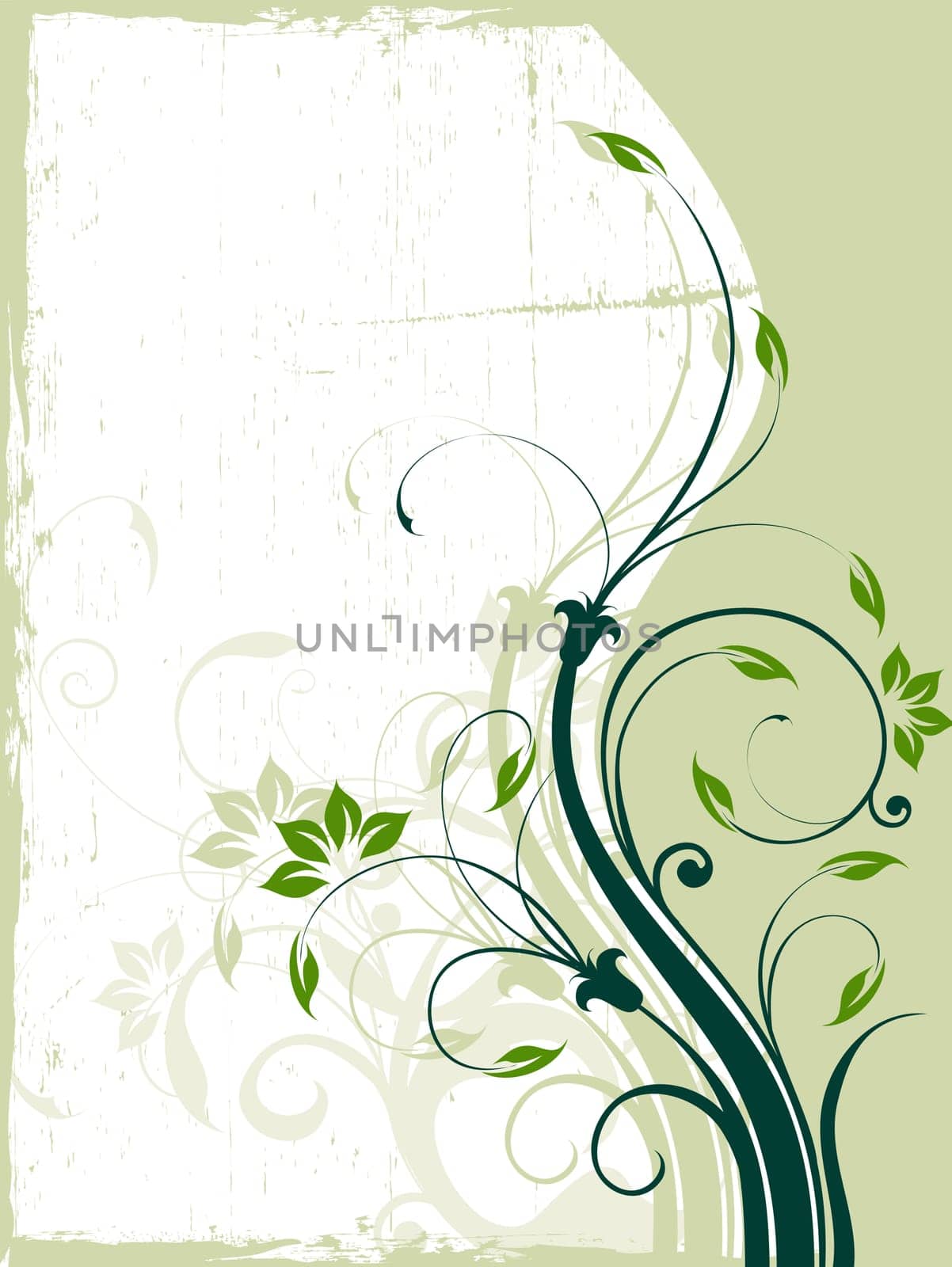 floral background