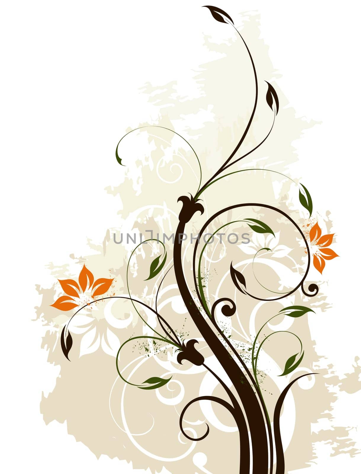 floral background